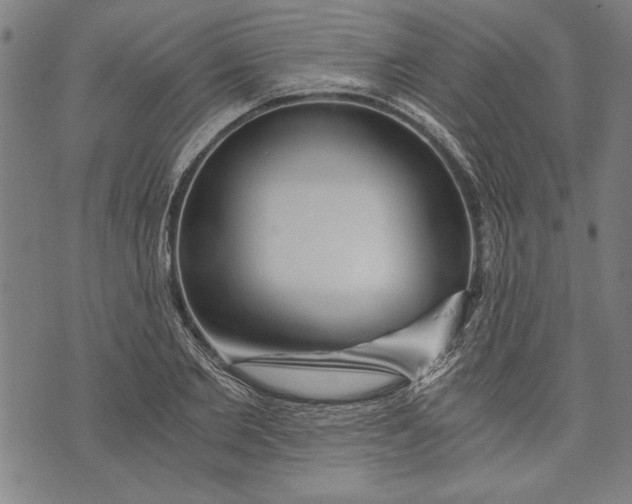 X0000073720885200608241229