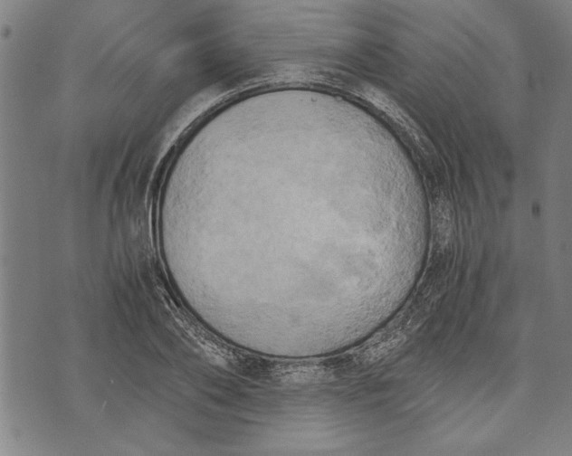 X0000073720886200608241229