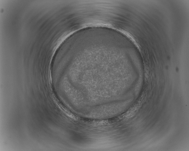 X0000073720887200608241229