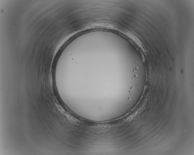 X0000073720888200608241229