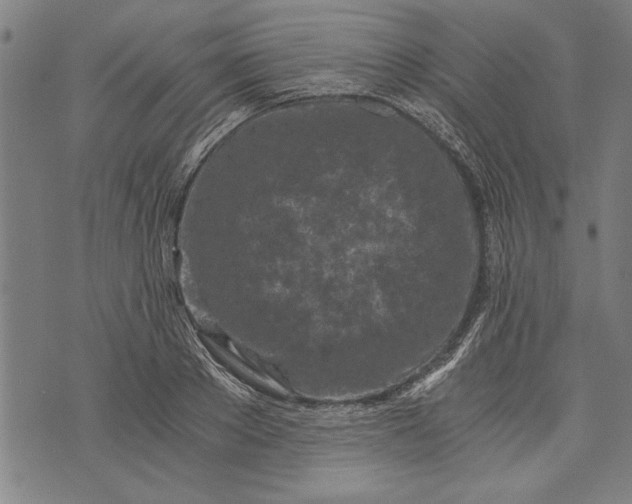 X0000073720889200608241229