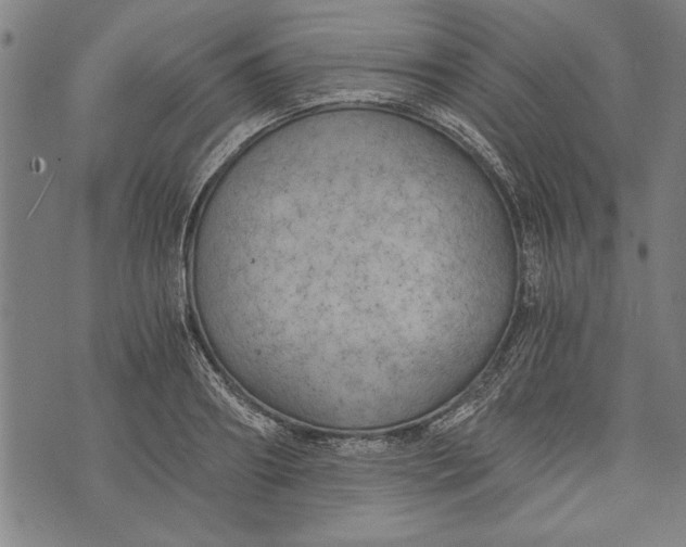 X0000073720890200608241229