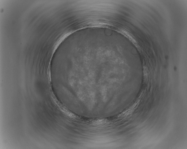 X0000073720891200608241229