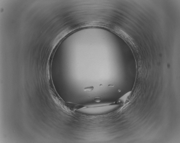 X0000073720892200608241229