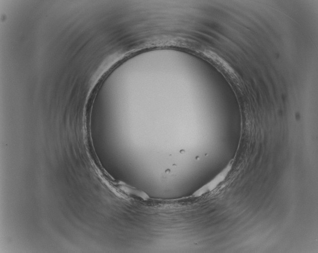 X0000073720894200608241229