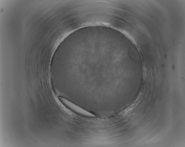 X0000073720895200608241229