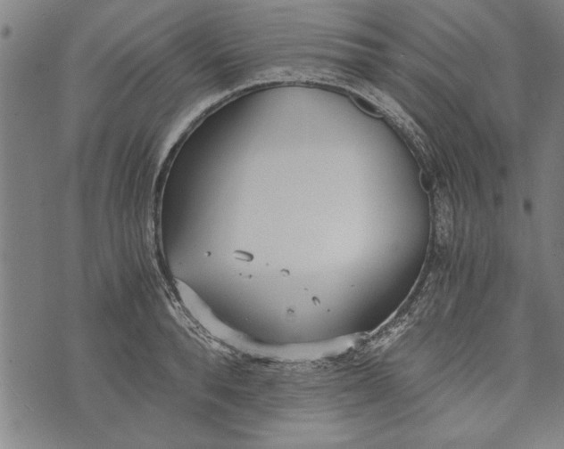 X0000073720896200608241229