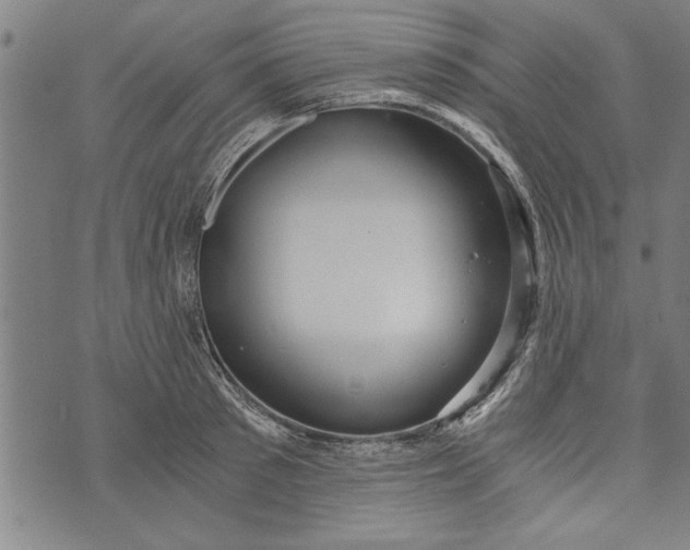 X0000073720897200608241229