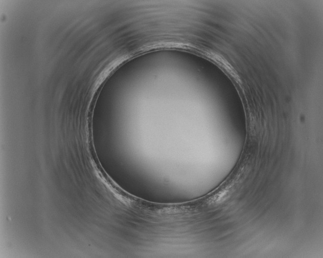 X0000073720898200608241229