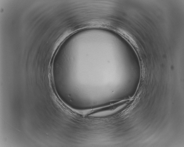 X0000073720899200608241229