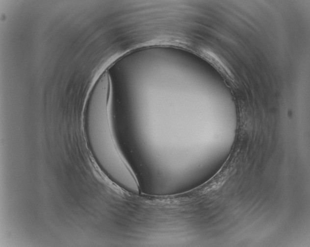 X0000073720900200608241229