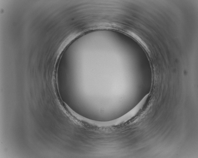 X0000073720901200608241229