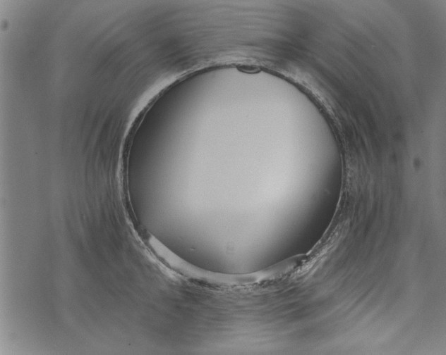 X0000073720902200608241229