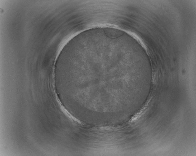 X0000073720903200608241229