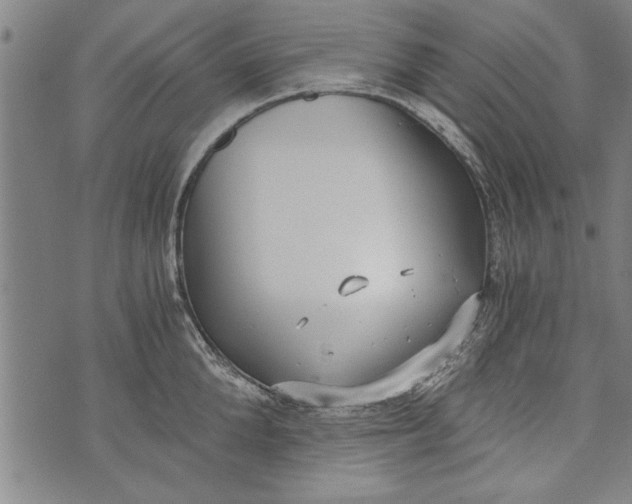 X0000073720904200608241229