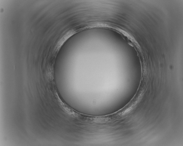 X0000073720905200608241229