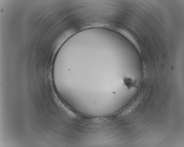 X0000073720906200608241229