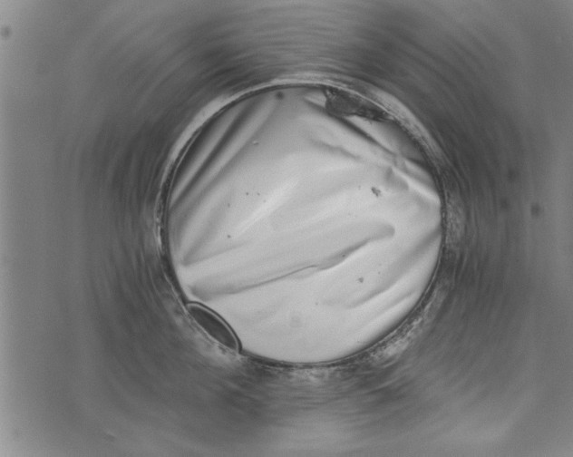 X0000073720908200608241229