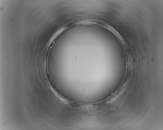 X0000073720909200608241229