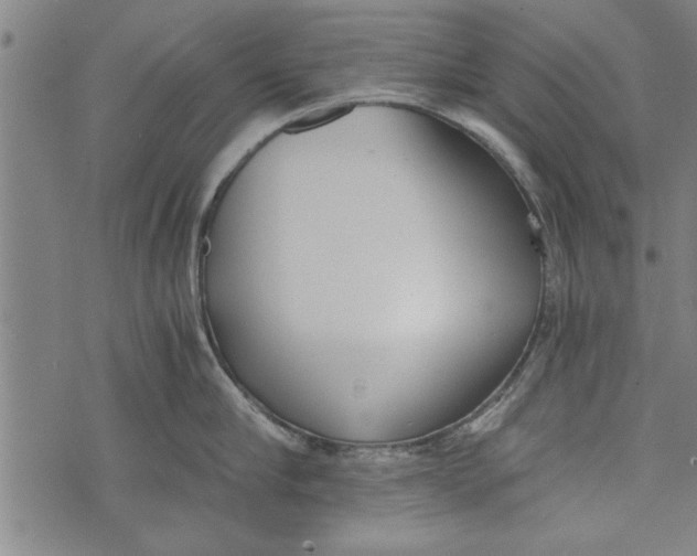 X0000073720910200608241229