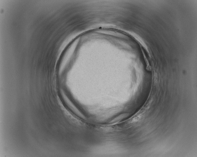 X0000073720911200608241229