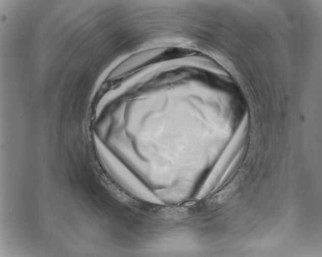 X0000073720912200608241229