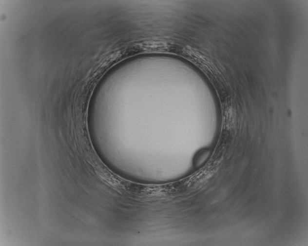 X0000073720913200608241228