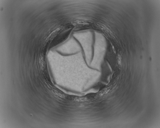 X0000073720915200608241228