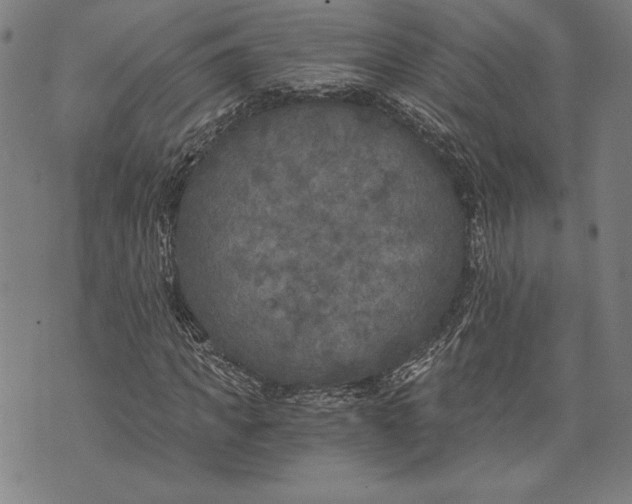 X0000073720917200608241228