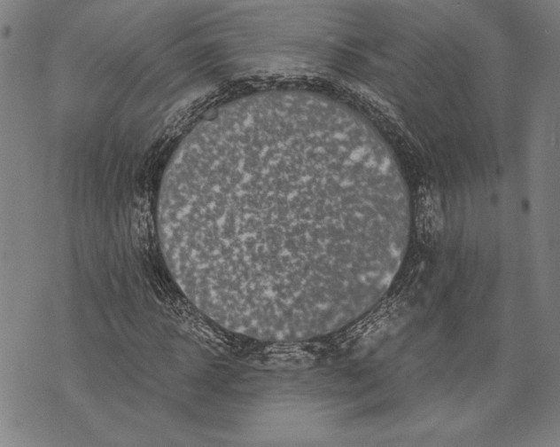 X0000073720918200608241228