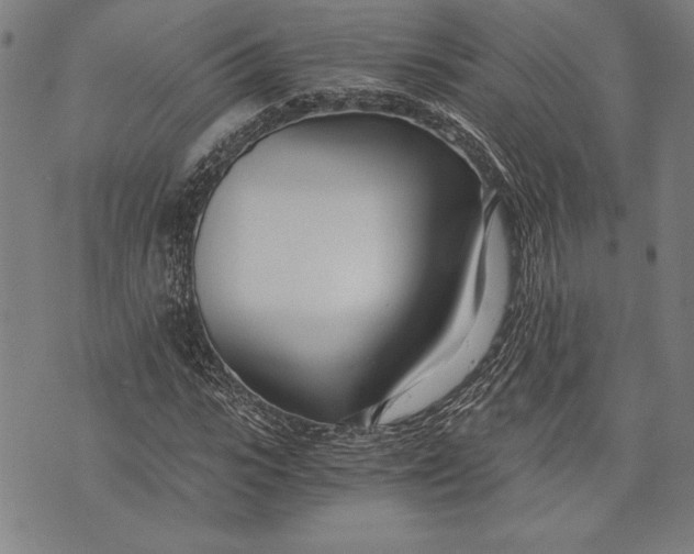 X0000073720919200608241228