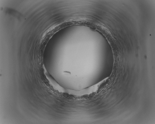 X0000073720920200608241228