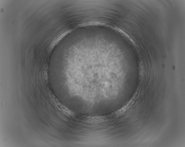 X0000073720921200608241228