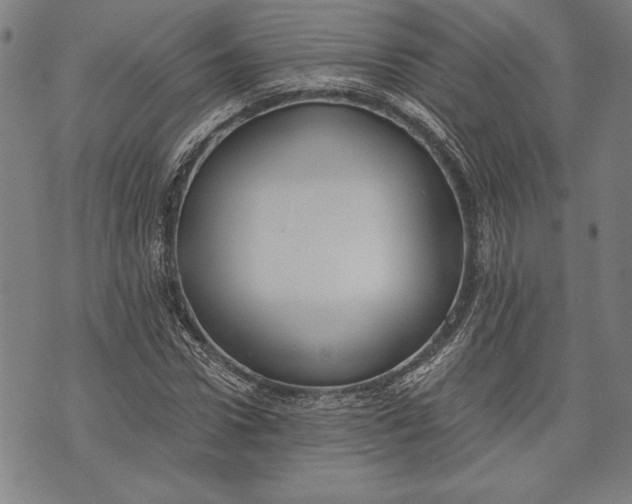 X0000073720922200608241228