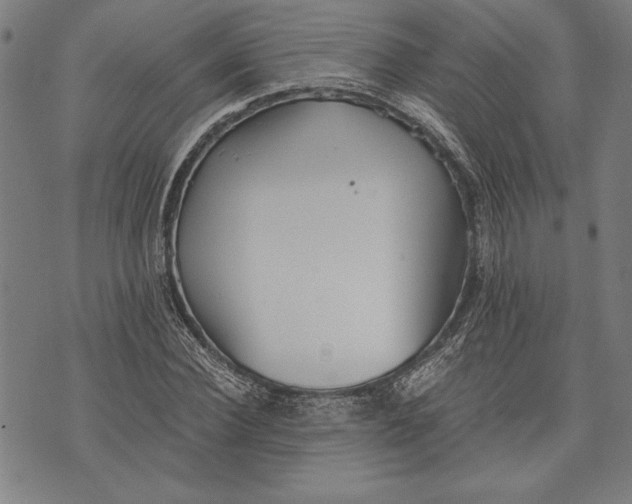 X0000073720924200608241228