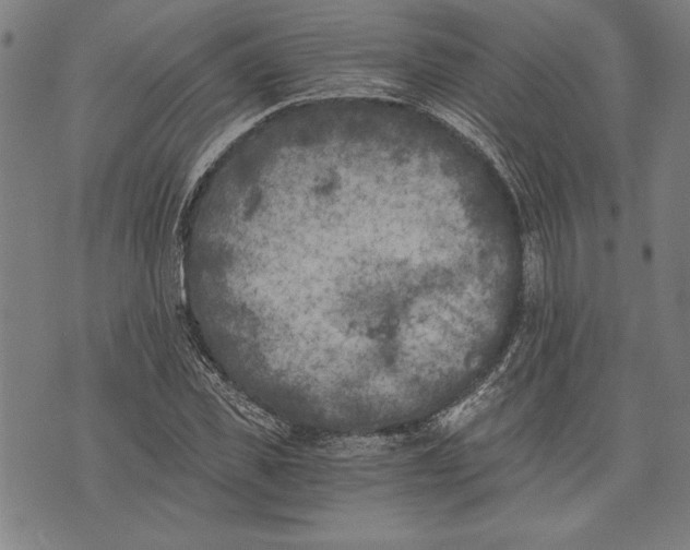 X0000073720925200608241228