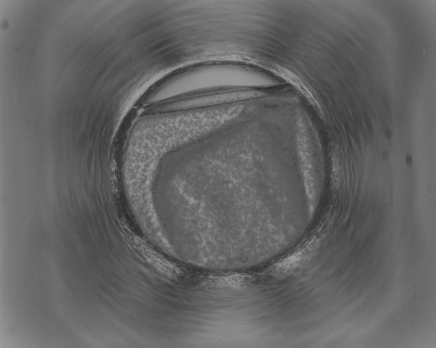 X0000073720926200608241228