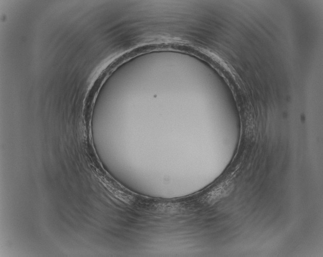 X0000073720927200608241228