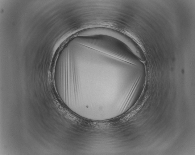 X0000073720928200608241228