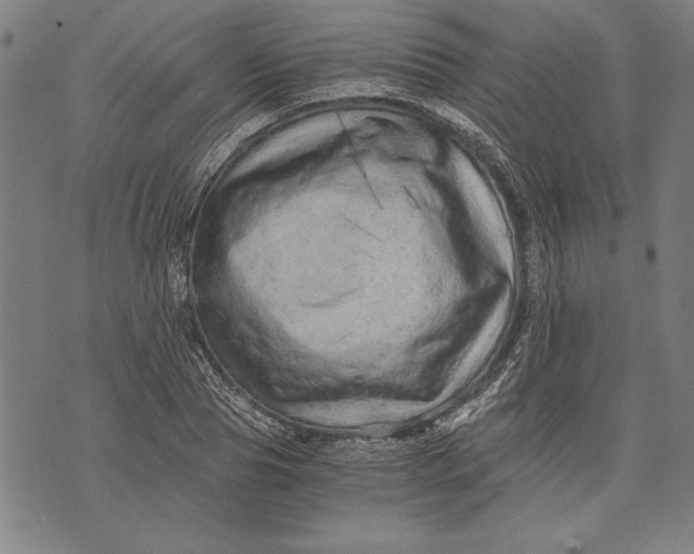 X0000073720929200608241228