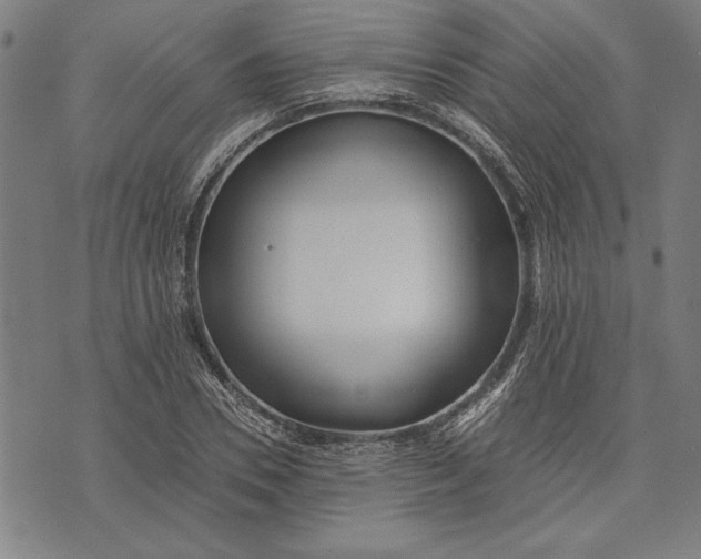 X0000073720930200608241228