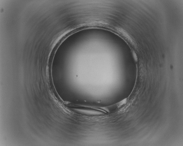 X0000073720932200608241228