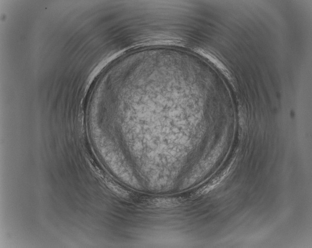 X0000073720933200608241228