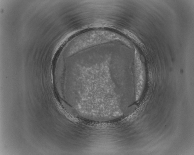 X0000073720934200608241228