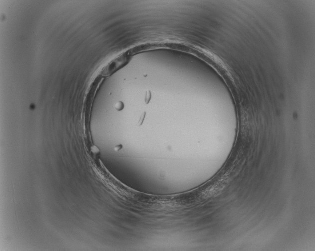 X0000073720935200608241228