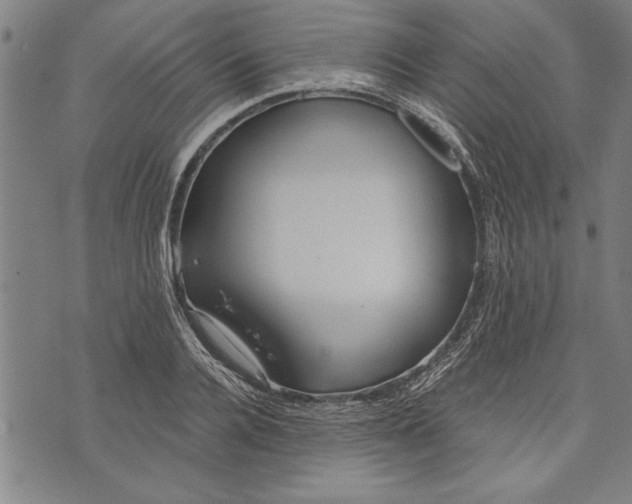 X0000073720936200608241228