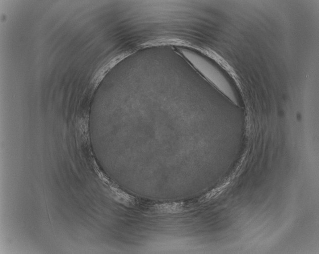 X0000073720937200608241228