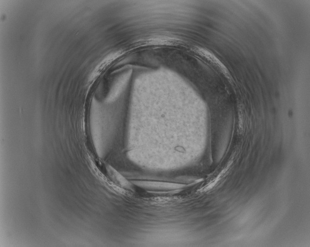 X0000073720938200608241228