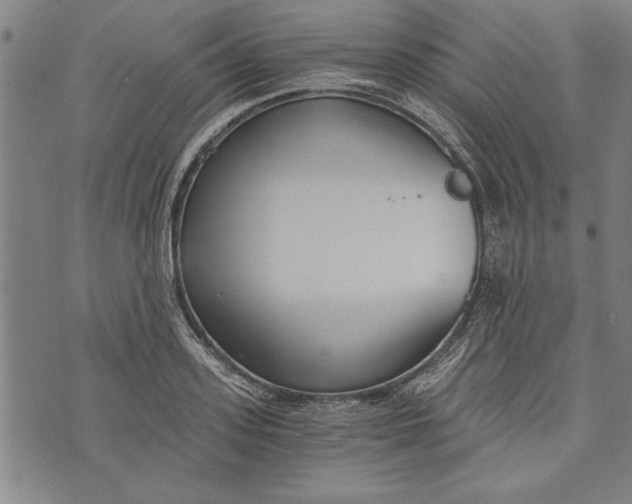 X0000073720939200608241228