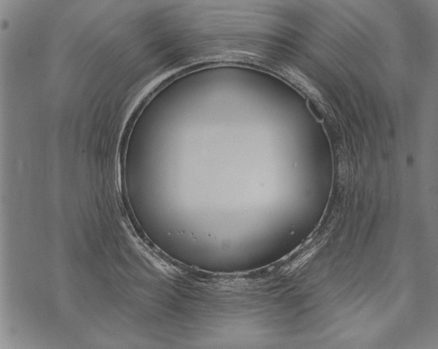 X0000073720940200608241228